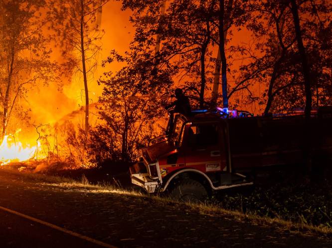 Hoe bosbranden en heroplevende economie de klimaatopwarming aanzwengelen