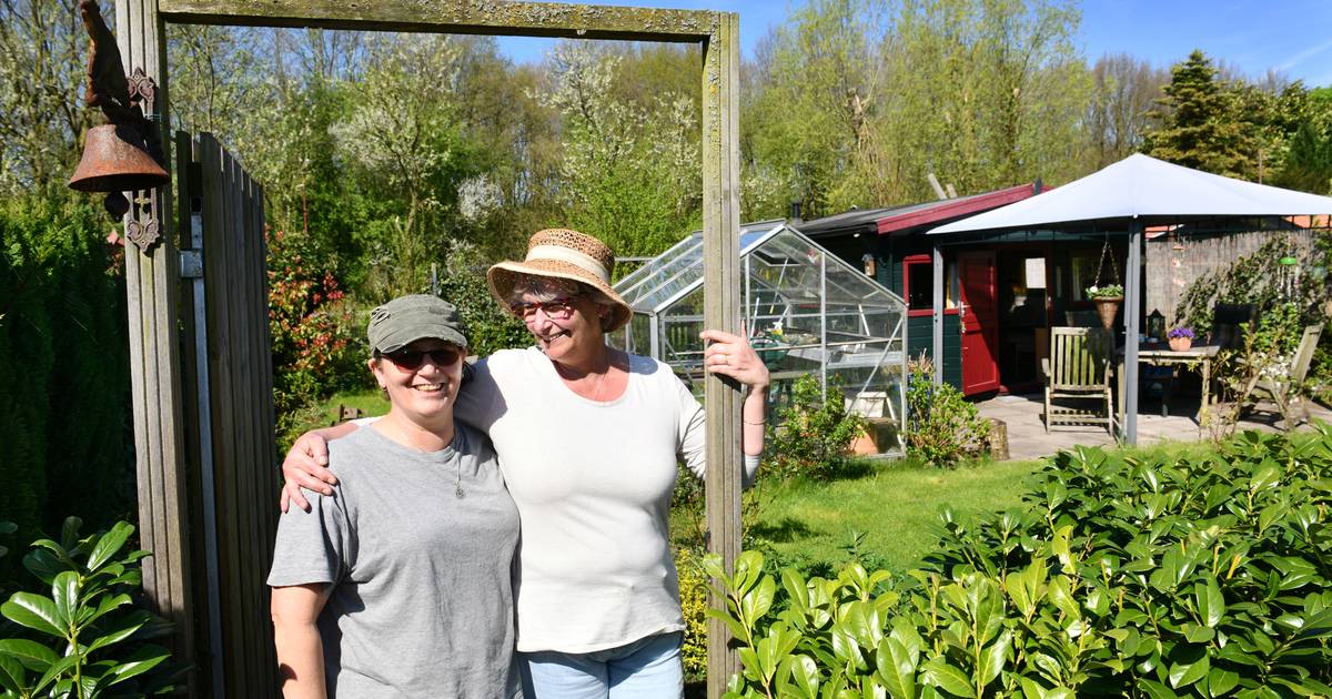 Eindelijk terug op tuincomplex De Warmoes, ‘het vergeten paradijs’