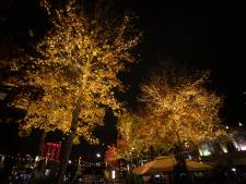 Feestelijke verlichting en cadeaustapel van tien meter: Eindhoven maakt werk van kerstsfeer