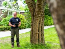 Boomverzorger Martin (50) lapt zieke bomen in Dordt op: ‘Een boom is net een mens’