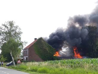 BBQ veroorzaakt brand: woning en koterijen helemaal in vlammen opgegaan
