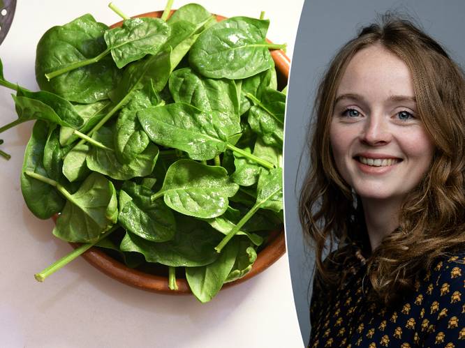 Ijzertekort meest voorkomende voedingstekort ter wereld: “Je lichaam neemt niet elke soort ijzer even vlot op”