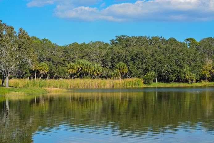 Lake Seminole, in Florida.