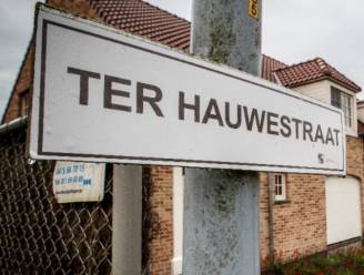 Jabbeke vervangt 300-tal straatnaambordjes: "De letters waren niet altijd meer duidelijk leesbaar”
