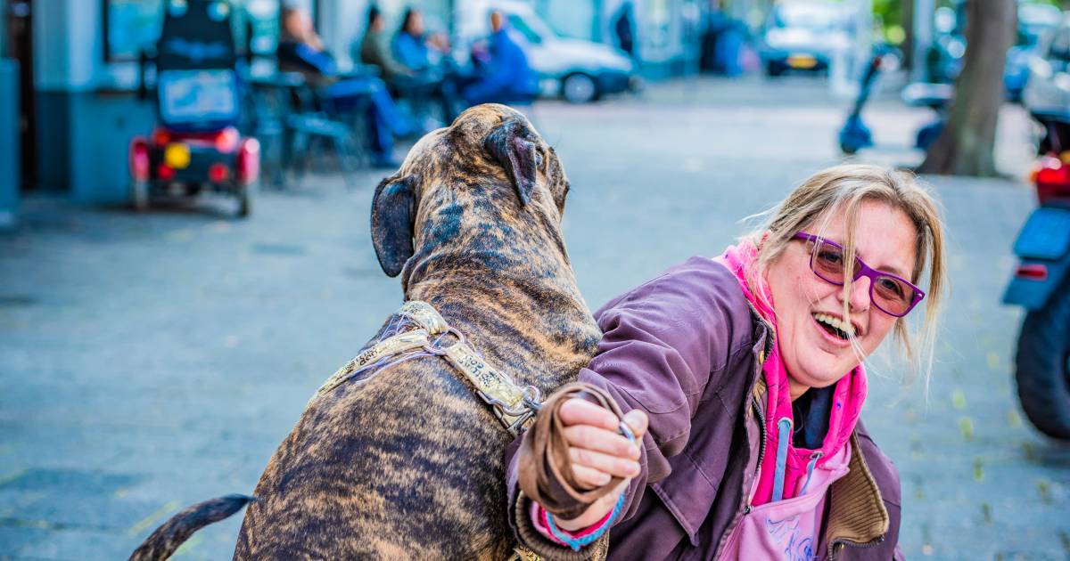 Mijn Benen Zijn Helemaal Blauw Door Mijn Hond Den Haag Ad Nl