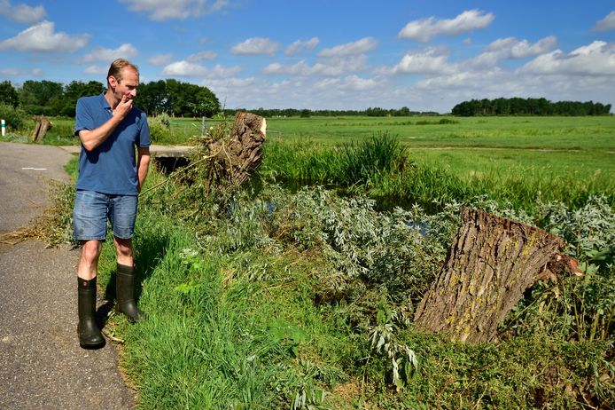 Boer Floor de Jong had later spijt van zijn bomenkapactie, maar toen was het kwaad al geschied.