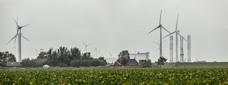Windmolens bij het dorp Oudeschip helemaal boven in Groningen.  Beeld Harry Cock / de Volkskrant