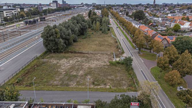 Zwollenaren ‘pissig en emotioneel’ over plannen padelbaan: ‘We willen het niet, dat galmende getiktok’