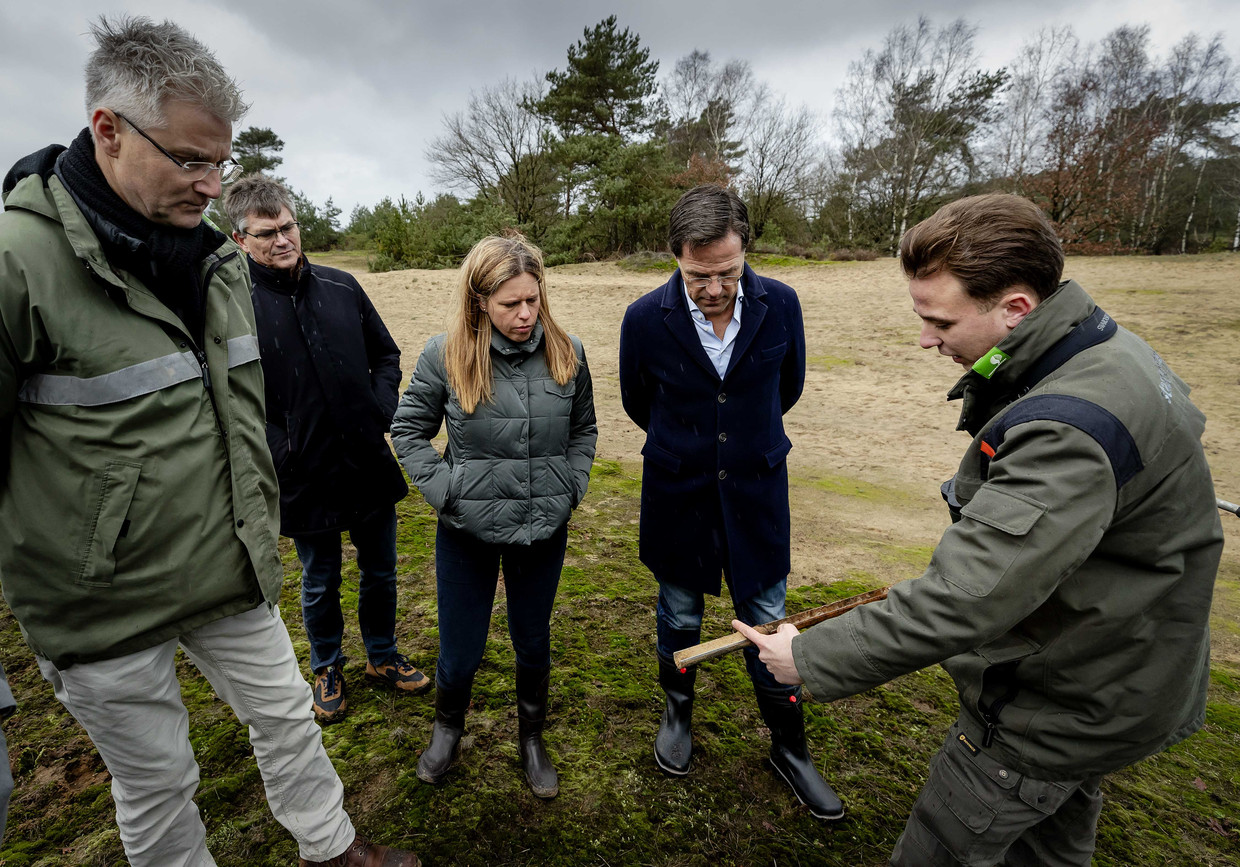 Necklet beet Gang Het kabinet trekt extra miljoenen uit om boeren uit te kopen | Trouw