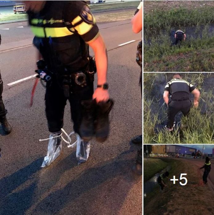 Politieman probeert vergeefs sokken en schoenen droog te houden