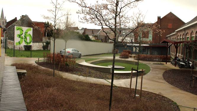 Stadsbestuur neemt vanaf 2024 het beheer van De Botaniek in handen, verenigingen op zoek naar nieuwe stek: “Maar we zetten niemand op straat” 