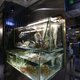 App met gezichtsherkenning gaat restaurantvissen in Hongkong beschermen