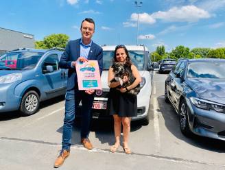 “Laat uw hond niet achter in de wagen”: Brugge lanceert sensibiliseringsactie in de zomer