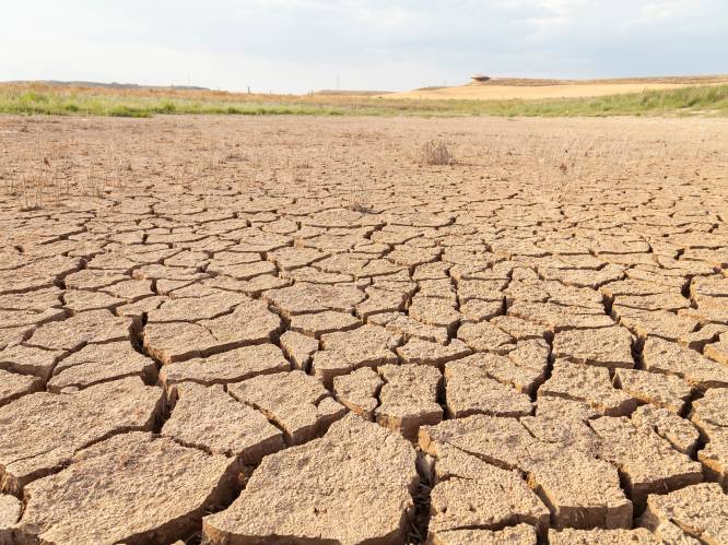 Wetenschappers trekken aan alarmbel: grote kans dat aarde 1,5 graden opwarmt tegen 2027