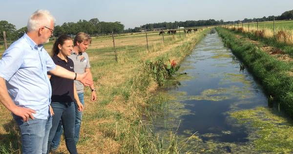 Droogte: waterschap pompt grondwater in beek om zeldzame dieren te redden - Eindhovens Dagblad