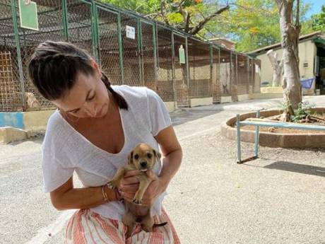 Rossana Kluivert: Geen fraude of oplichting bij hondenopvang op Curaçao