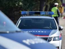 Six enfants, dont un bébé, découverts dans une cave en Autriche, leur père présumé interpellé
