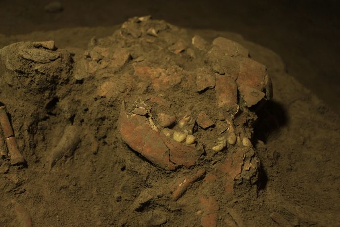 Le squelette découvert dans une grotte de l'île de Célèbes, en Indonésie