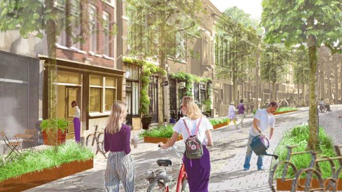 Meer woningen, minder winkels in centrum: ‘Leegstand is een kans voor Bergse binnenstad’