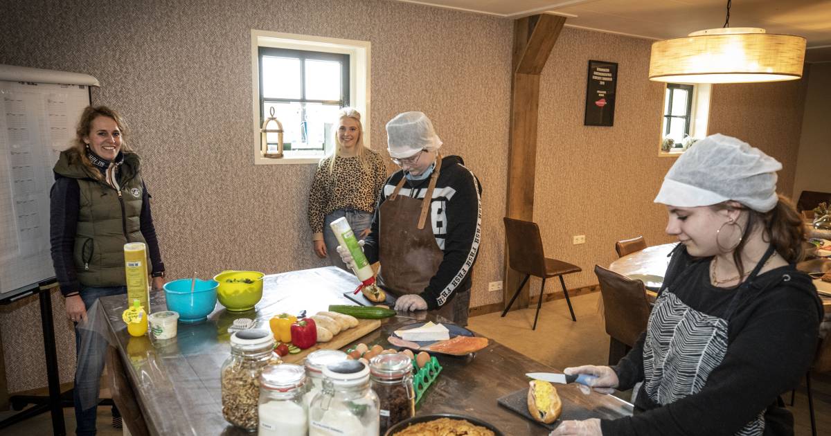 Belegde broodjes uit de keuken van Stayble in Mander: ‘We hopen op goodwill’