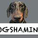 Dog Shaming
