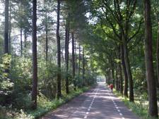Verbreding Bergsebaan gaat niet door, gemeente Oosterhout kiest voor drempels en fietsstroken