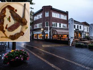 Beschermde houtsnip op het bord geeft een wrange nasmaak bij Achterhoekse herberg