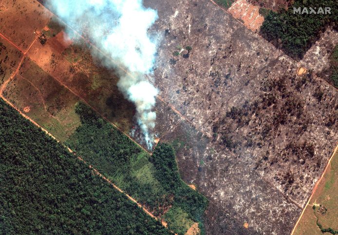 Incendie dans l'État de Rondonia
