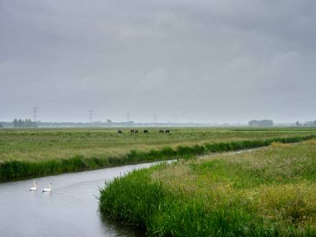 Hoe moeten de buren gaan profiteren van het omstreden windpark bij Rosmalen?