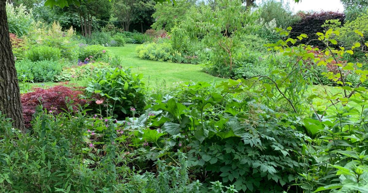Bijzondere tuinen in Breedenbroek en Megchelen gaan open