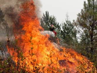 Meer dan 1.000 pompiers bestrijden Portugese bosbranden