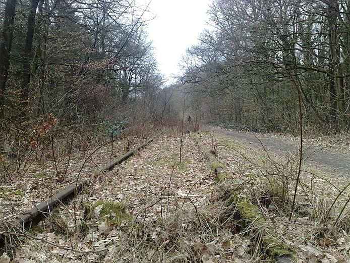 De opgedoekte spoorlijn naar Kleef.