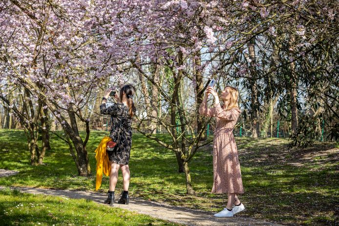 De Japanse Tuin opent voortaan elk jaar vroeger.