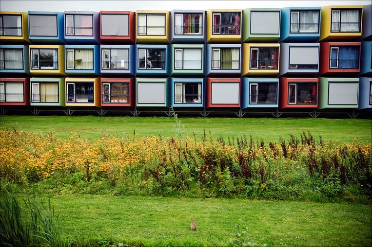 Containerwoningen op het studentencomplex Uithof van de Universiteit Utrecht. Beeld Hollandse Hoogte / Erik van 't Woud