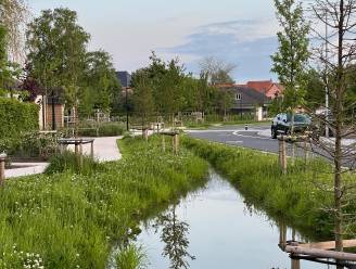 Bankbeekstraat genomineerd voor de Prijs Publieke Ruimte 2024