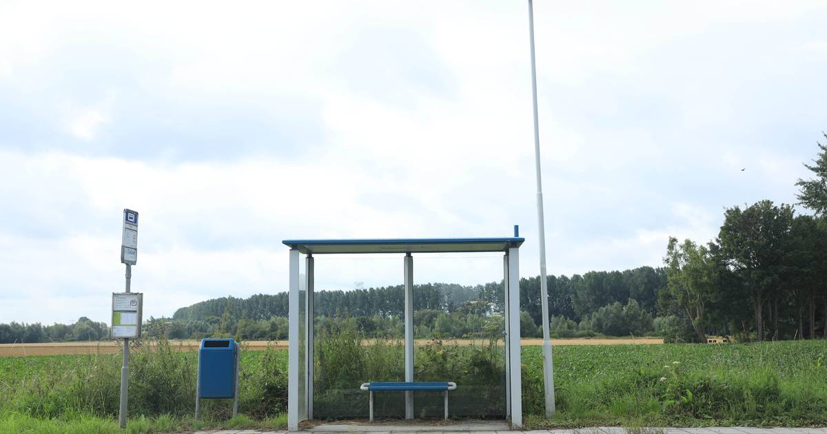 Dit is de stilste bushalte van Zeeland: 'Alleen fietsers schuilen er voor de regen’