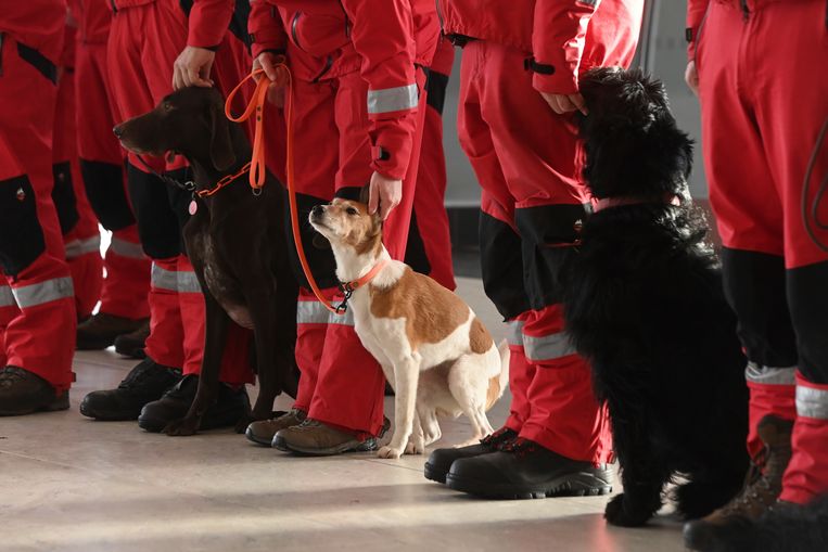 Een zoek- en reddingsteam van de Tsjechische brandweer bereidt zich voor op vertrek naar het getroffen gebied in Turkije om te helpen bij de zoektocht naar overlevenden.  Beeld AP