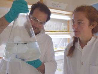 Wereldprimeur in Nederland: bacteriën eten echt plastic