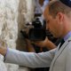 Bijzonder: prins William bezoekt graf overgrootmoeder in Jeruzalem