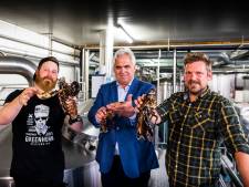 Haagse brouwers van Kompaan werken aan kreeftenbier: ‘Mag geen kreeftensoep worden’