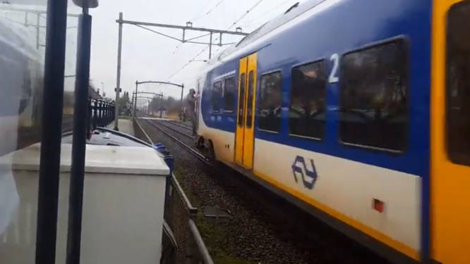 Waaghals hangt aan trein tussen station Lage Zwaluwe en Zevenbergen