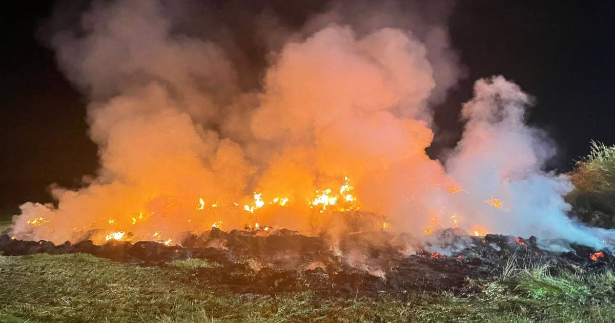 Gisteravond zagen hooi- en strohandelaren Arnoud Nooren en Jordy Iempreur van Leno Agriservice uit Zuidzande zo'n dertig pakken graszaadhooi in vlammen opgaan. Ze gaan uit van brandstichting