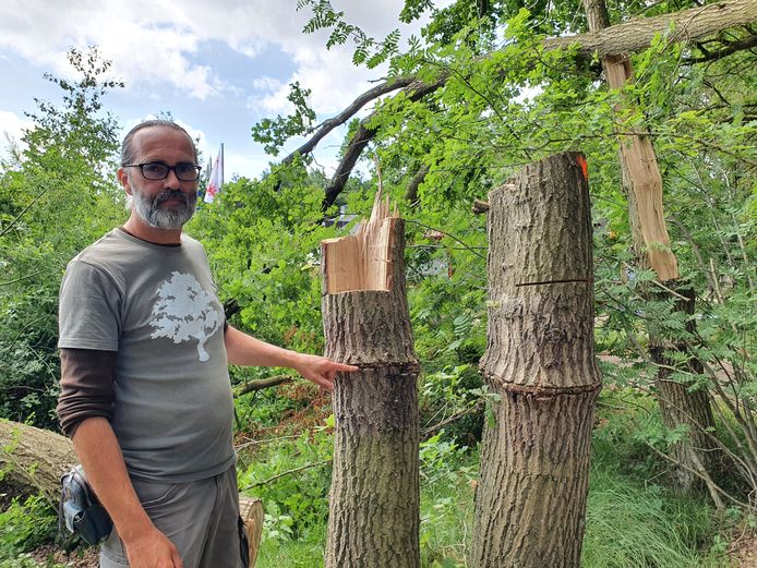 Kris Van Der Steen van het bezoekerscentrum toont de schade aan de bomen.