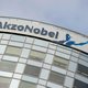 Hoe jager Akzo Nobel veranderde in prooi PPG
