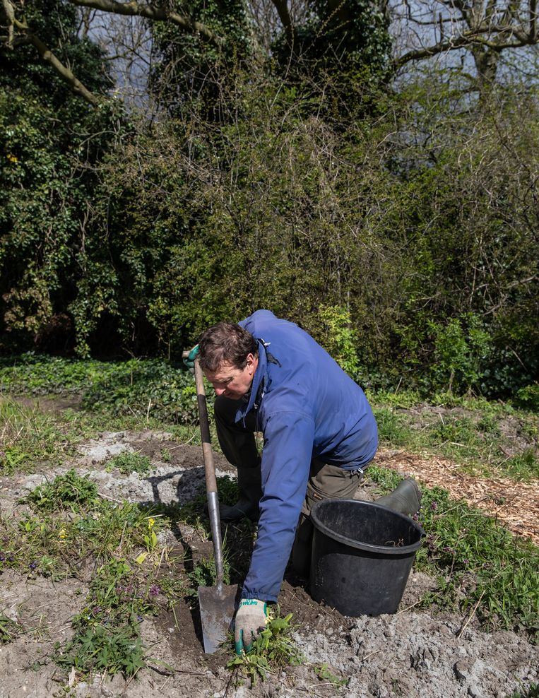 Chris Barendse is tuinman in de heemtuin van Huize Frankendael. Hij werkt al 20 jaar in de tuin en heeft de tuin gemaakt tot wat het nu is.  Beeld Dingena Mol