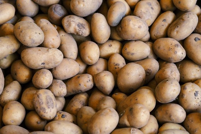 Aardappelen: hoe bewaar je die best?