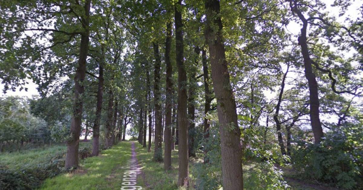 Lastig om nieuwbouw BennekomWest te reserveren voor alleen Bennekommers Ede gelderlander.nl