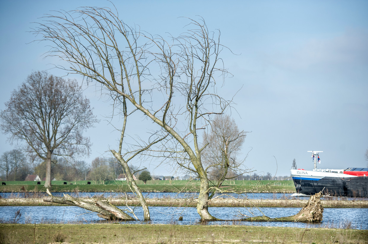 De Hemelrijkse Waard bij Oss. Beeld Koen Verheijden