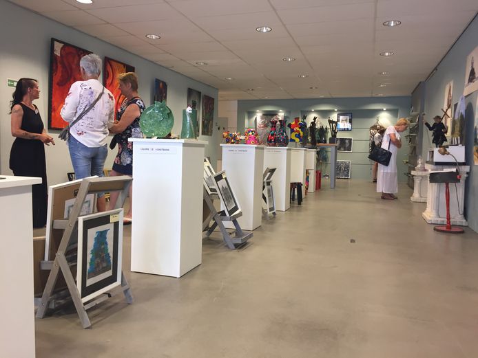 Van hulst schoenen hot sale