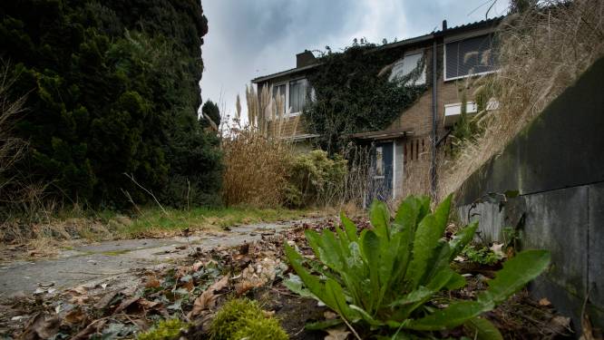 Het tragische verhaal achter een huis in verval (en niemand die zich erom bekommert)